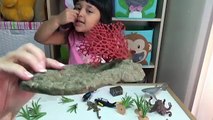 DIY How to Make Slime Fish Tank and Slime Ocean with Schleich Sea Animals