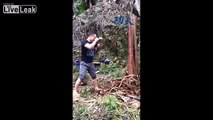 Martial Arts Training Involves Tree Chopping.