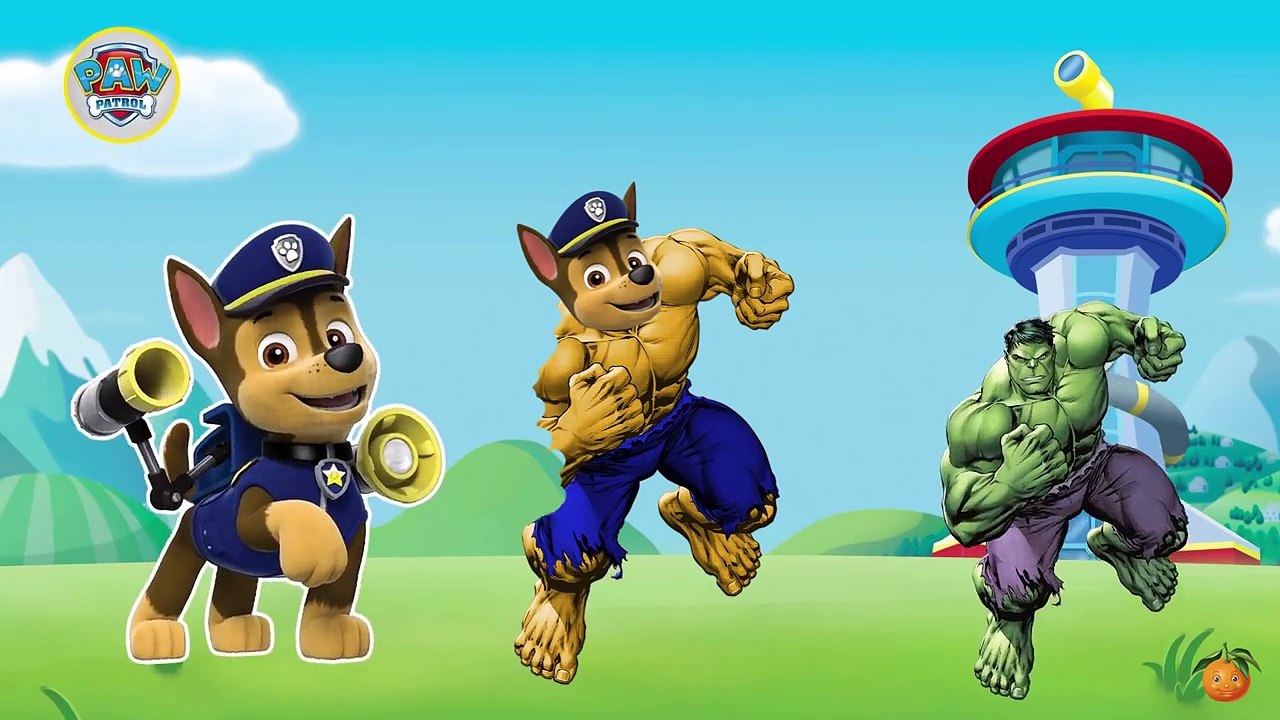 Paw Patrol turns into Hulk Surprise Eggs - Paw Patrol Hulk Finger Family Song Nursery Rhymes Cartoon