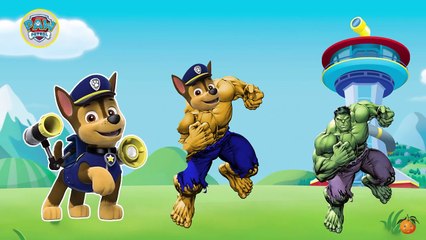 Paw Patrol turns into Hulk Surprise Eggs - Paw Patrol Hulk Finger Family Song Nursery Rhymes Cartoon