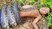Terrifying!! Fearless Little Sister and Brother Catch Very Big Snakes By Digging Hole