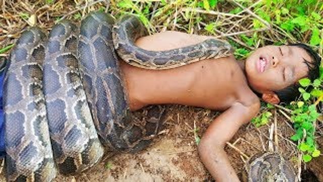 Terrifying!! Fearless Little Sister and Brother Catch Very Big Snakes By Digging Hole