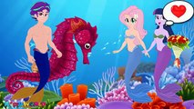 My Little Pony MLP Equestria Girls Transforms with Animation Real Life Mermaid