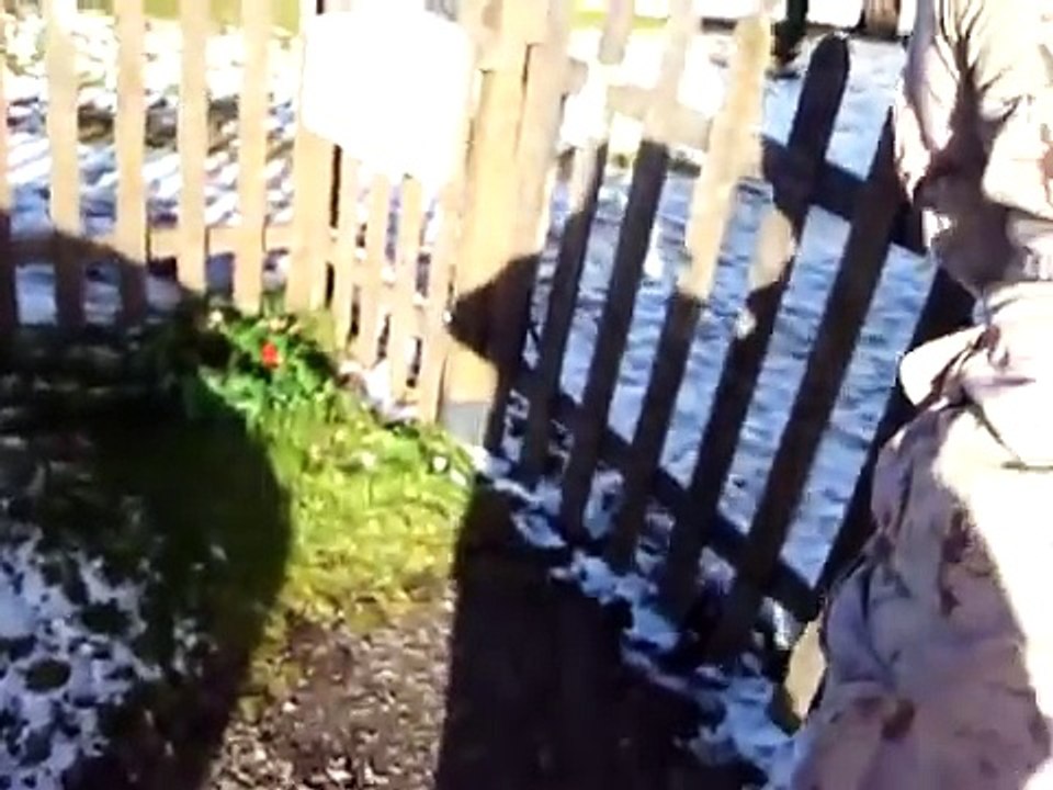 Canadian Soldier Surprises Mom on Christmas Eve 2010