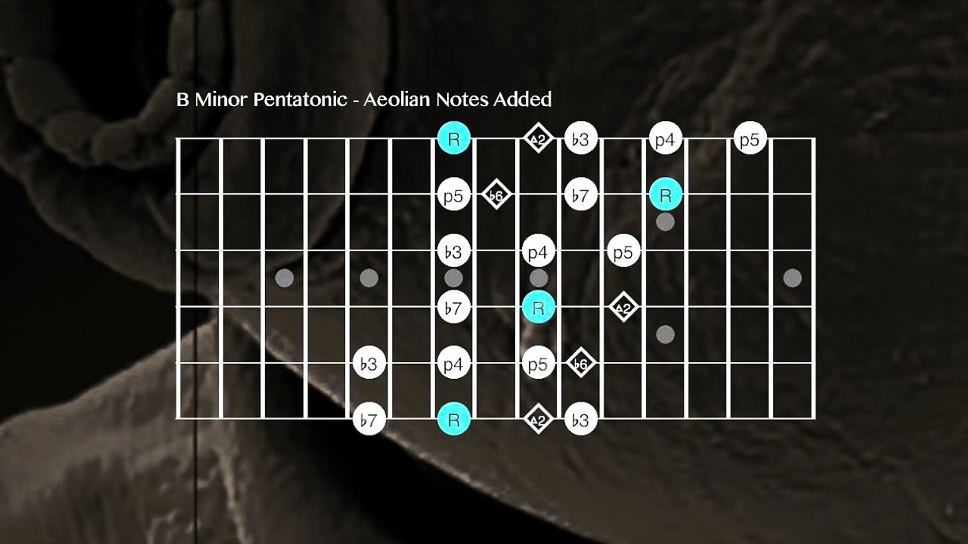 Comfortably Numb Chord Progression Ending Solo Floyd Style