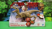 New GROWLER VELOCIRAPTOR DELTA JURASSIC WORLD Review Vs Indominus Rex Unboxing By WD Toys.