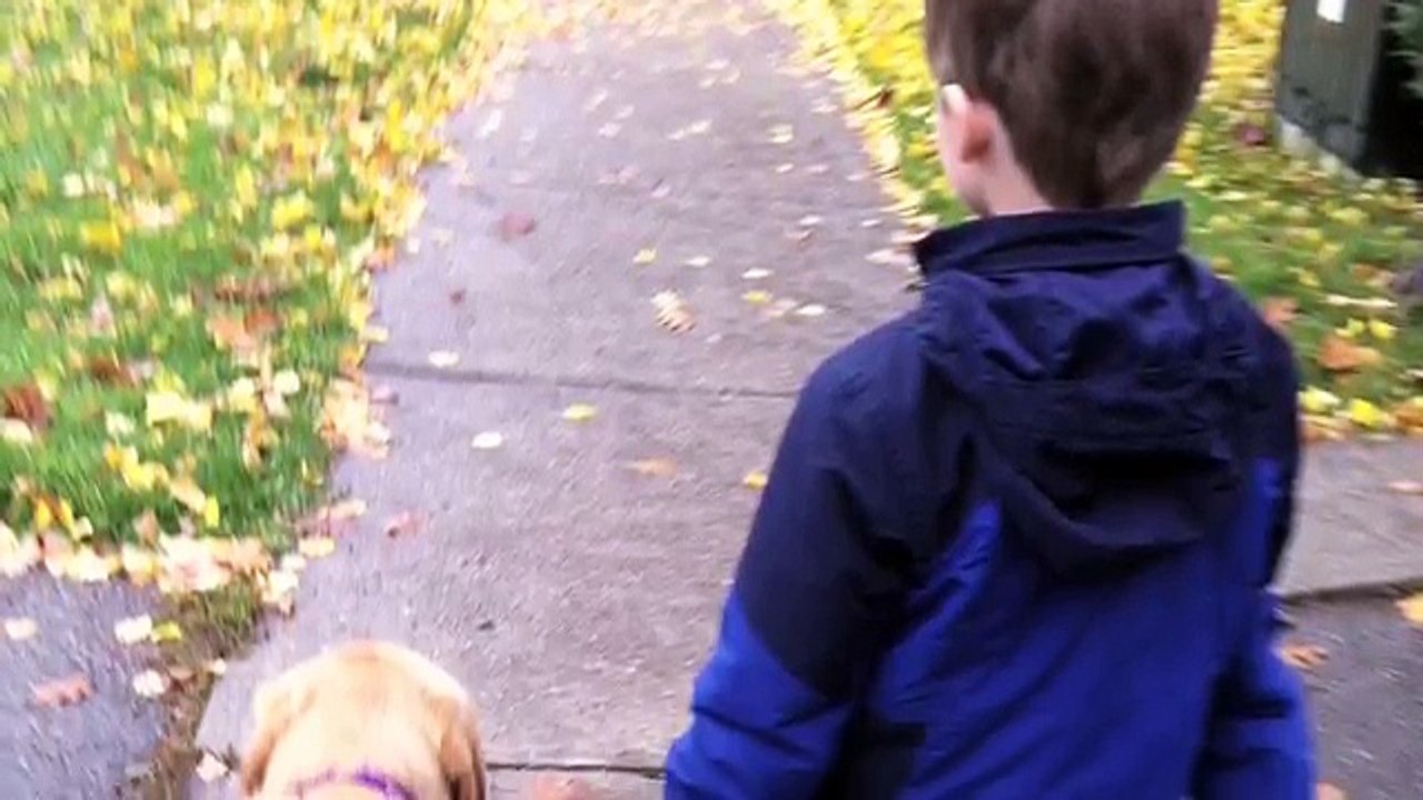 What Happened When this Autistic Boy Got a Dog