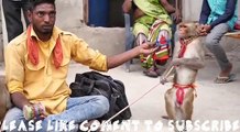 [INDIAN FUNNY VIDEOS] latest most funniest mankey show ever since 2016