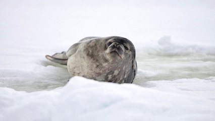 MAG | L'ASTROLABE SELON JEAN-LOUIS ETIENNE #4