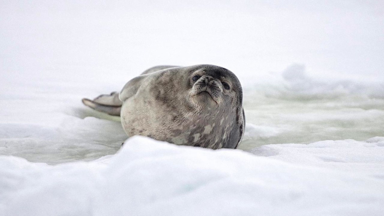 MAG | L'ASTROLABE SELON JEAN-LOUIS ETIENNE #4