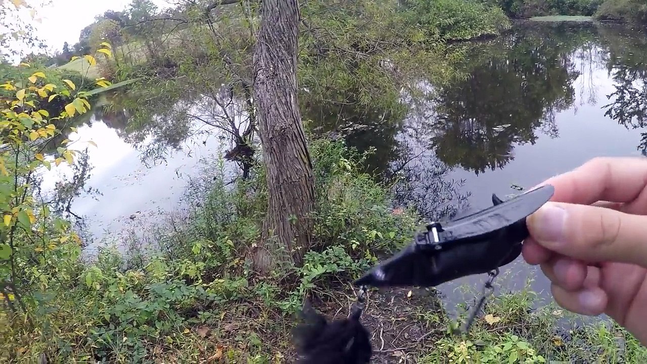 The Craziest Fishing Lure in Cabelas!! (Does it work?)