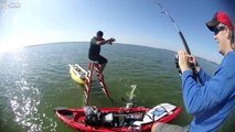 Catching Sharks With The Help of Ladders ?