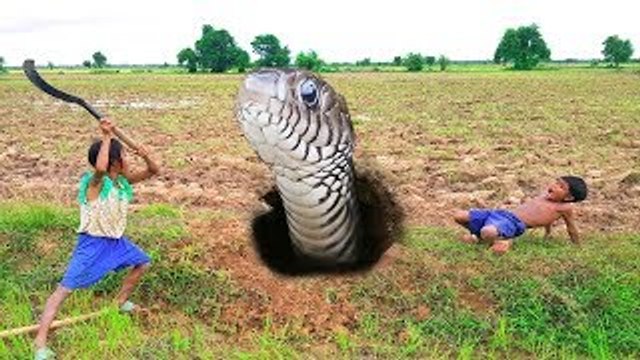 Heart-Touching!! Poor Asian Kids Catch Four Big Snakes For Food to Support Their Family