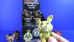 Five Nights At Freddys - Funko Mystery Minis (12 Blind Boxes) - 4K