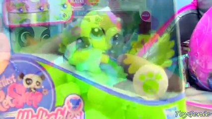 Littlest Pet Shop Lunch Box Surprises with Shopkins Season 3 and more