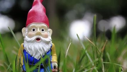 Top 10 SCARY Mysterious Creatures Caught On Video