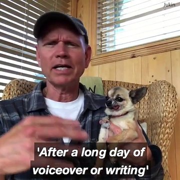 RELAX!!! By petting your dog.