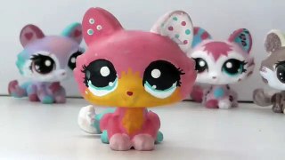 All my LPS customs