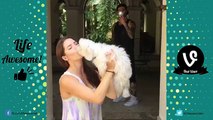 TRY NOT TO LAUGH or GRIN Funny Amanda Cerny Vines Compilation 2017  Best Funny Videos 2017