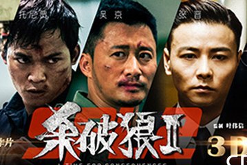 最佳动作电影 2017 - 杀破狼2 国语_超清