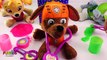 Best Learning Colors Video for Children - Baby Paw Patrol Pups Skye & Chase are Sick!!