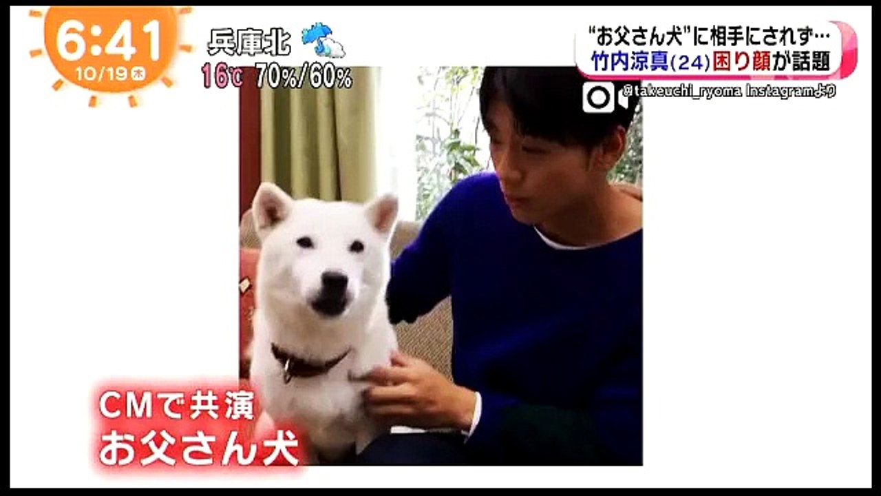 竹内涼真 お父さん犬に相手されず困り顔が話題に ソフトバンクCM