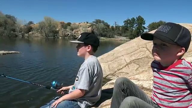 Spider Apocalypse! Wild Toy Spider Attacks Ethan and Cole! Nerf Vs Scary Insect Showdown!