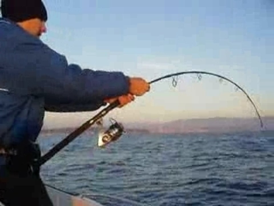 Pêche verticale Seriole au jig en méditerranée