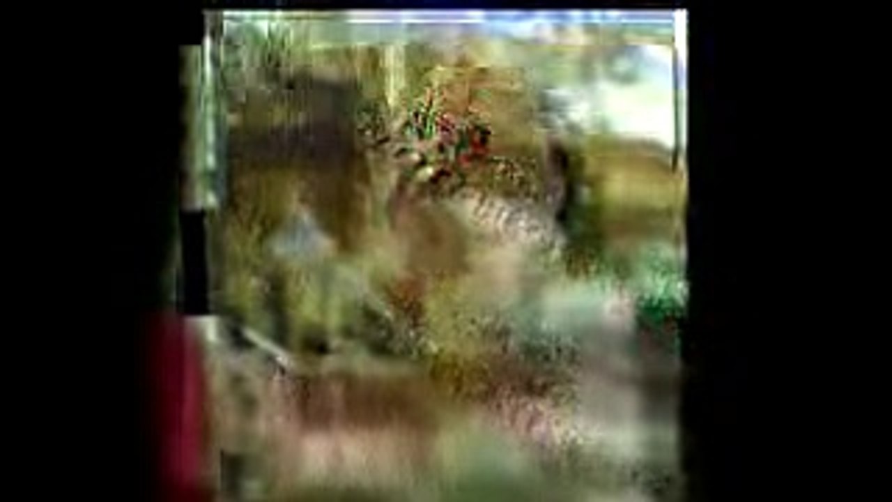 Satan Said Dance by Kasia Rosłaniec_film fragment