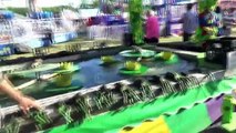 Playing Carnival Games At The Fair | Carnival Quest