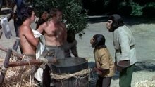 Planet der Affen  E04