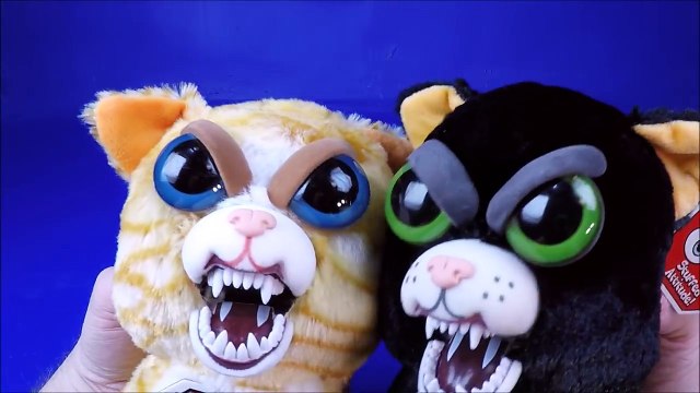 2017 Feisty Pets Unboxing and Review Fiesty Pets Collection Video