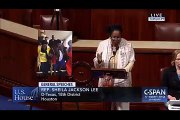 Sheila Jackson Lee - Rooting Out Racism in America