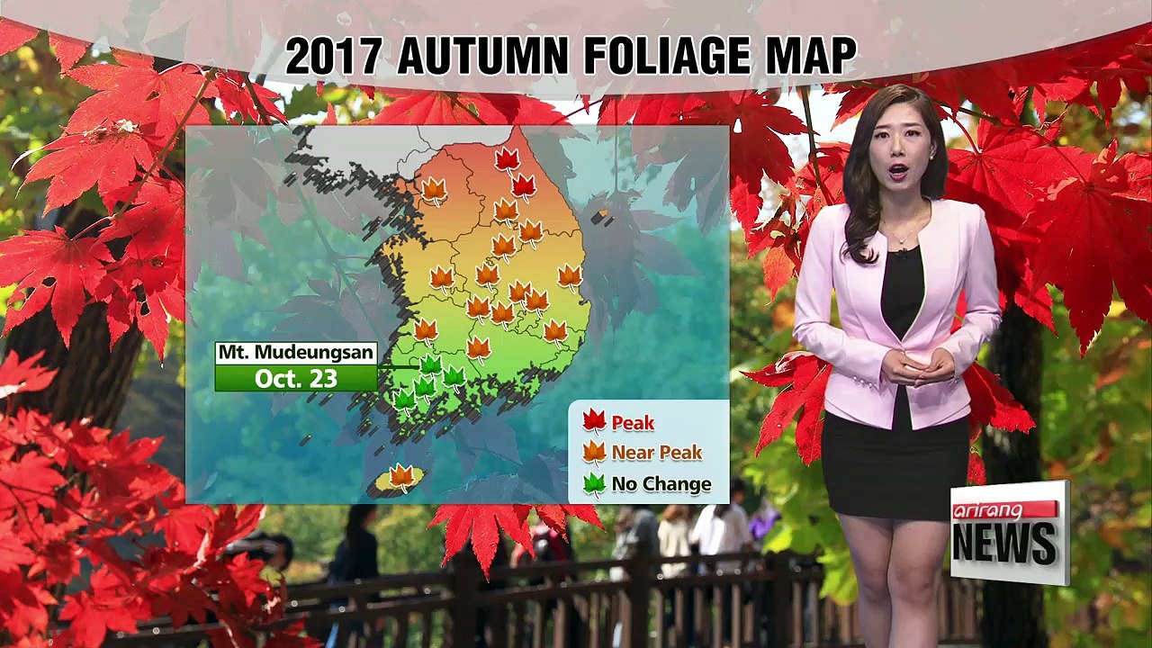 Mild highs under sunny skies _ 102017