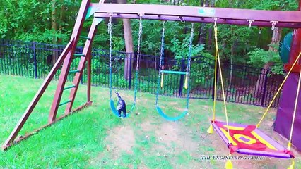 BAD BABY Wiggles Eats the Assistants Homework Funny Kids Bad baby Doggy Video