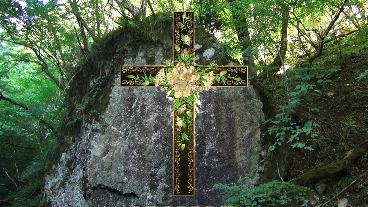 ♫ 千歳の岩　Rock of age 森の中の巨木と巨岩