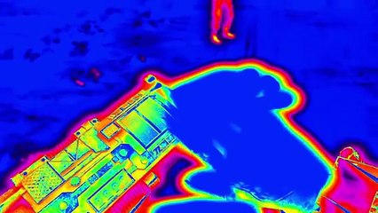 Смерть пиратства, MK XL только для консолей и фото на паспорт с Хэдкрабом
