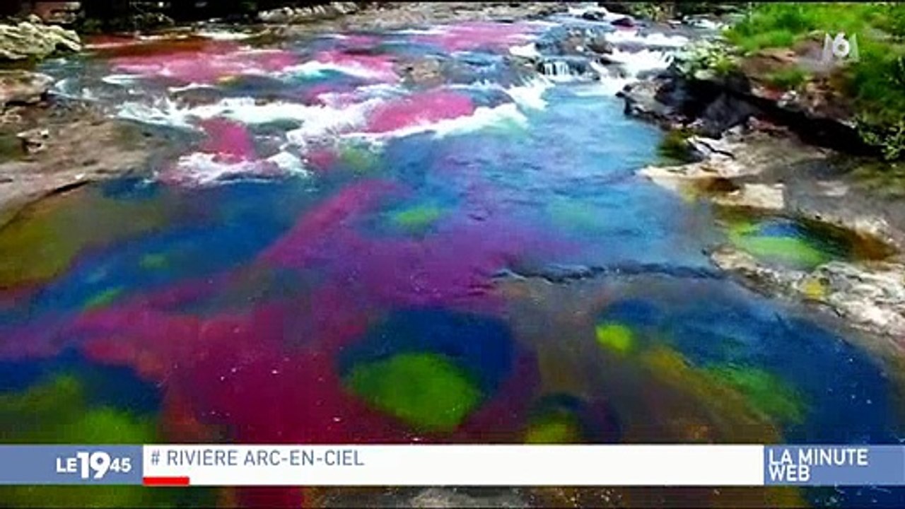 L'incroyable vue d'une rivière en Colombie fait déplacer les touristes du monde entier - Regardez