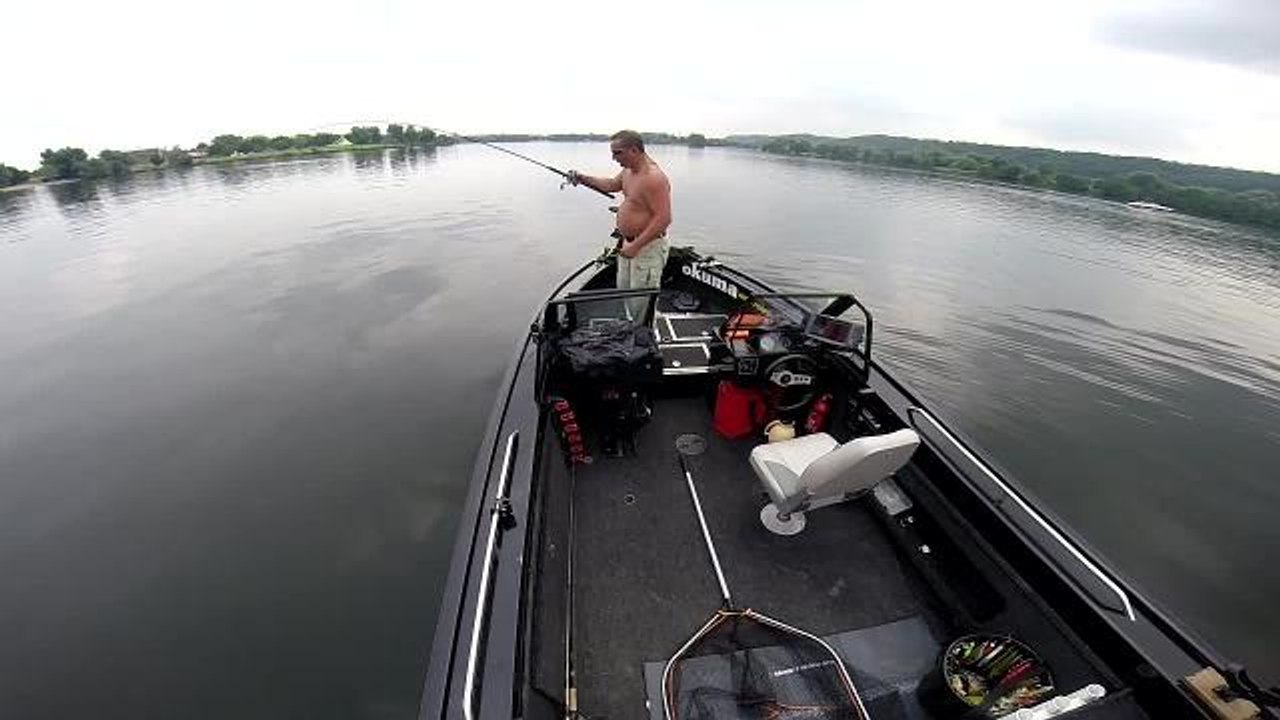 Capture d'un aspe de plus de 90cm !