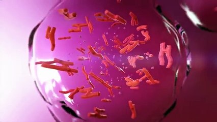 3D BioPrinting - Build A Heart Save A Life - BioLife4D