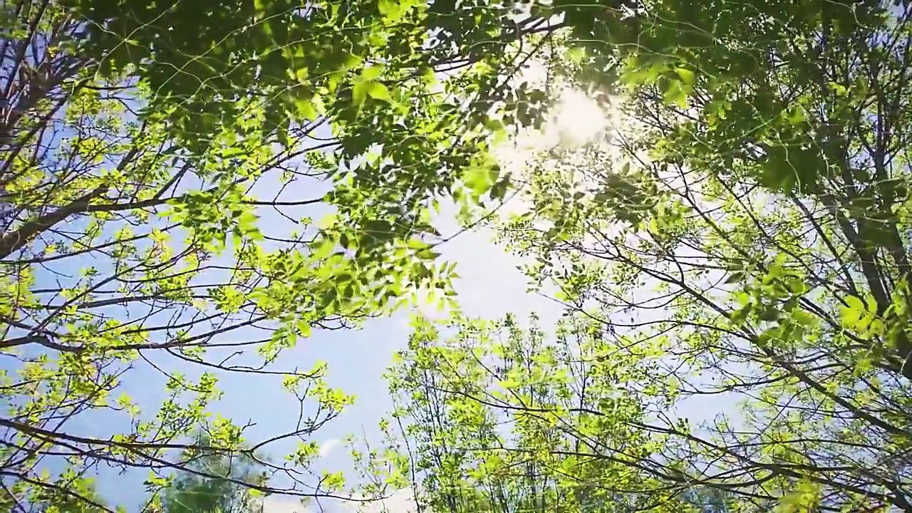 Tây Du Ký 2017 Tập 12  mới nhất - Thuyết Minh