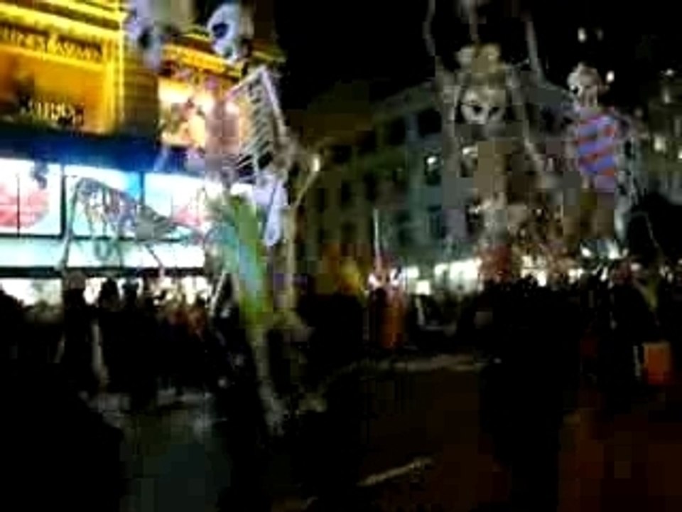 P1020155_mpeg2video