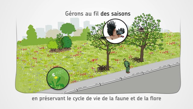 Gestion écologique : Accueillons la biodiversité en ville