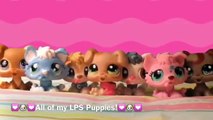 All of my LPS Puppies!--{REQUESTED}