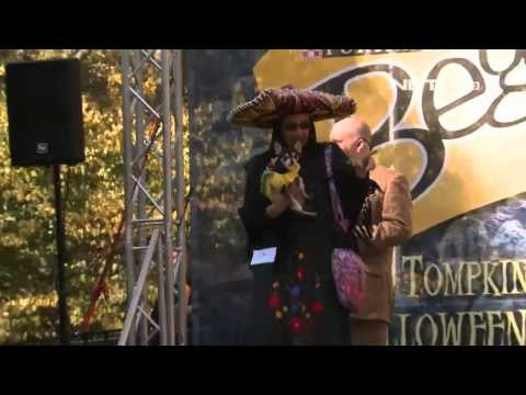 NET24 - Ratusan Anjing Tampil Lucu di New York