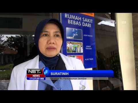 NET17 - Penyakit demam berdarah mewabah di Jember