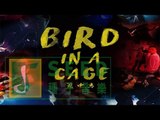 TRASH《籠中鳥》Bird In Cage Official 完整版 MV【HD】