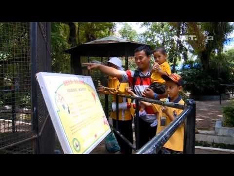 NET12 - Gerakan Komunitas Sadar Sampah di Surabaya