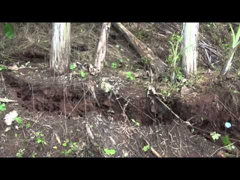 Ratusan rumah warga di Cianjur terancam tanah longsor - IMS