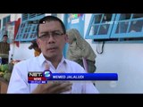 Festival cinta buah lokal di Bogor - NET5